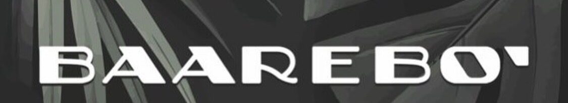  baarebo